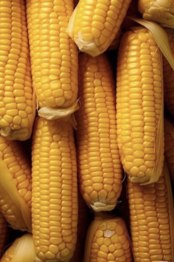 Frozen Sweet Corn